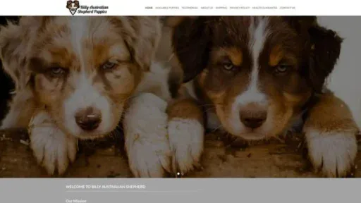 Screenshot of||