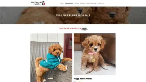 Screenshot of