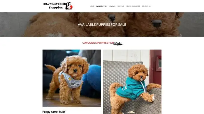 Screenshot of