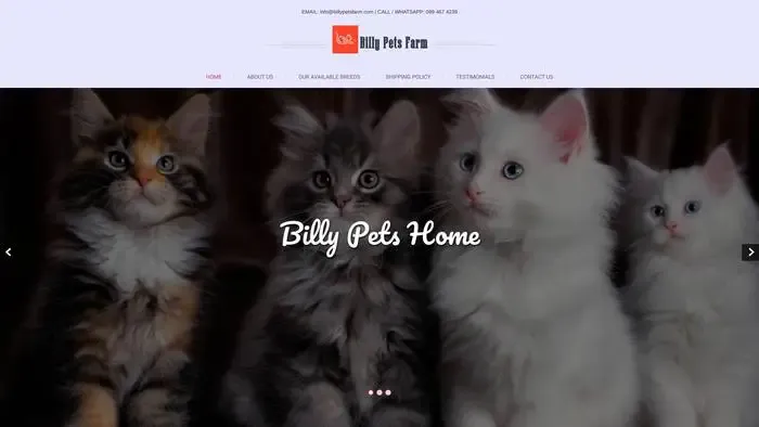 Screenshot of