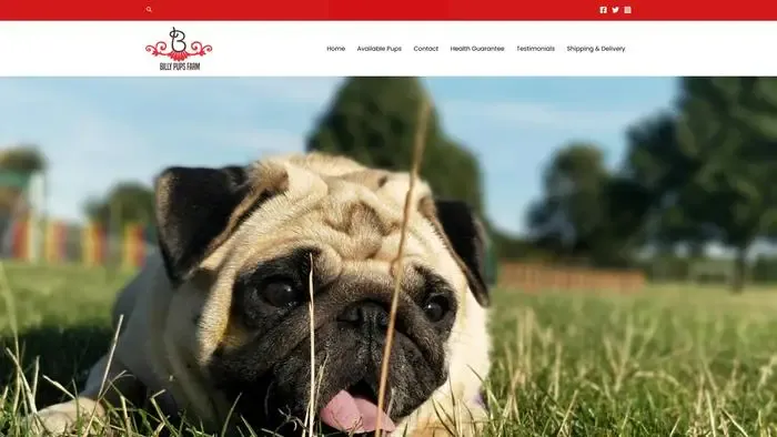 Screenshot of
