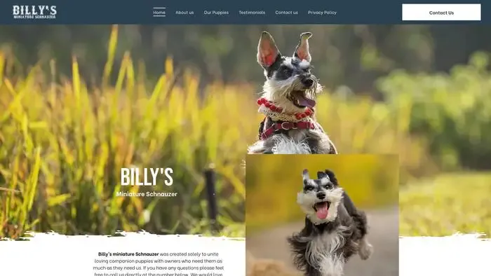 Screenshot of