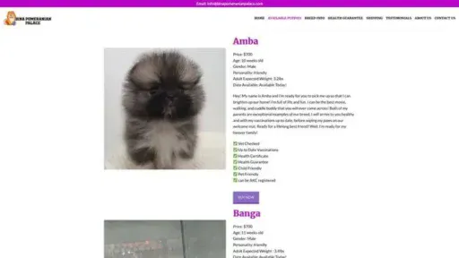 Screenshot of