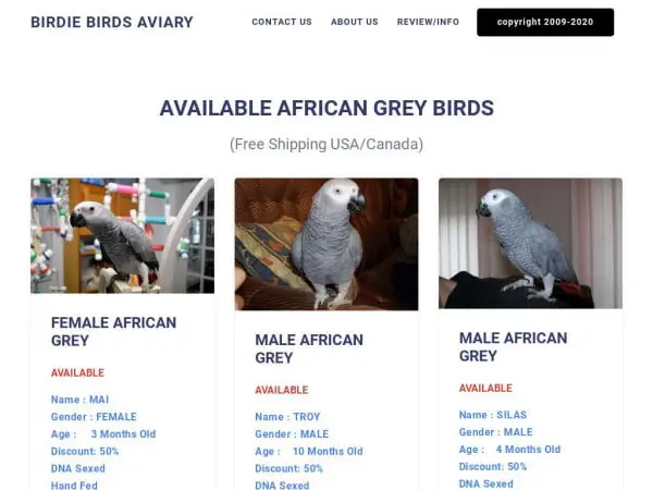 Screenshot of