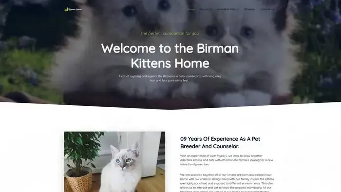 Screenshot of