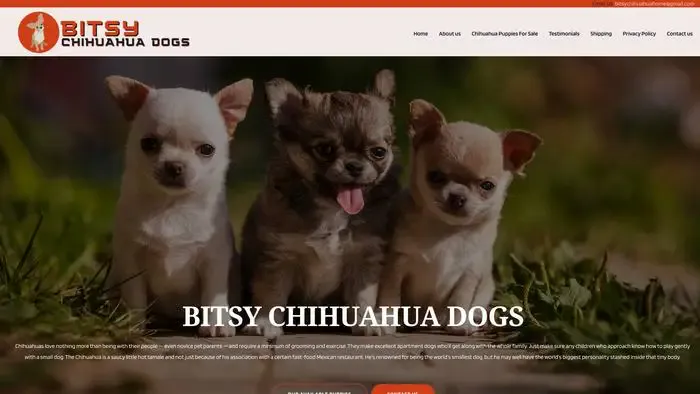 Screenshot of