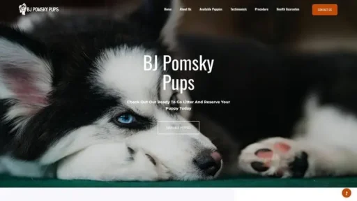 Screenshot of