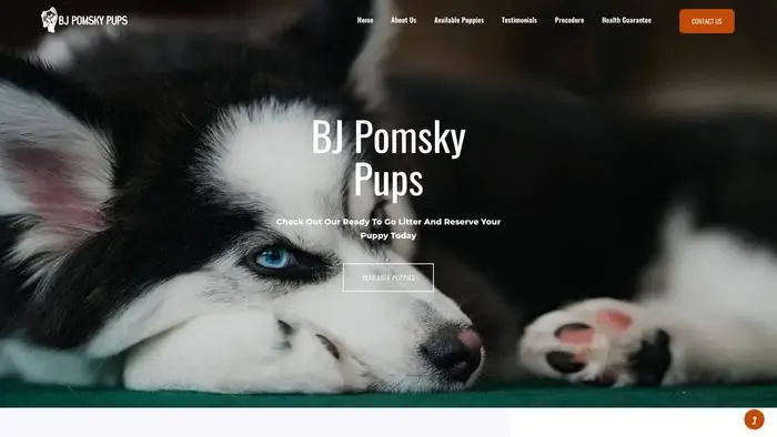 Screenshot of