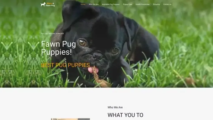 Screenshot of