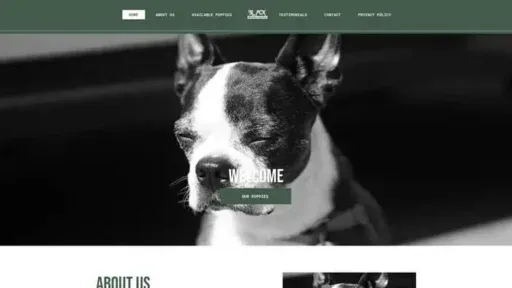 Screenshot of