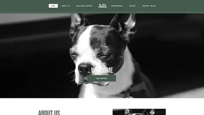 Screenshot of