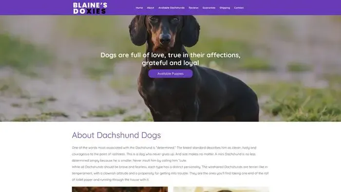 Screenshot of
