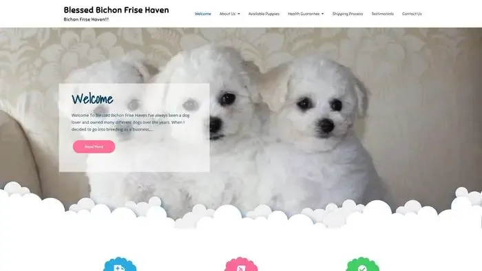 Screenshot of