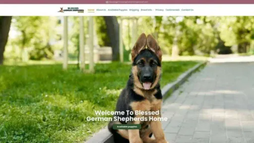 Screenshot of||