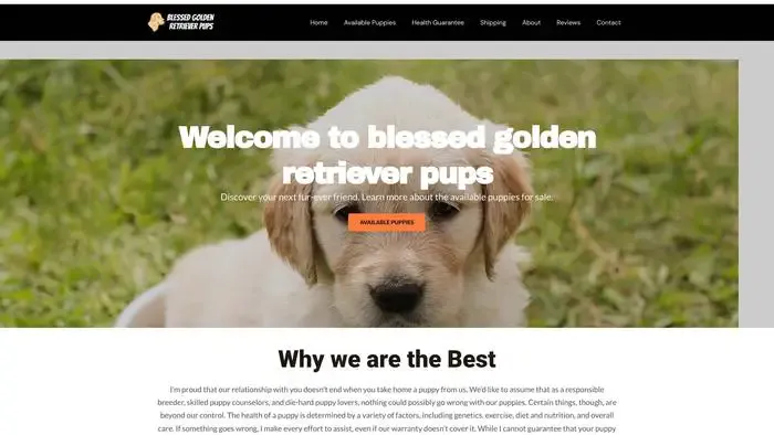 Screenshot of