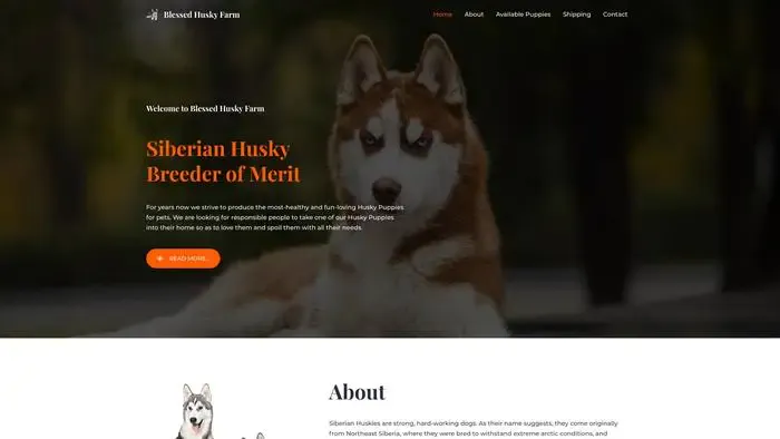Screenshot of