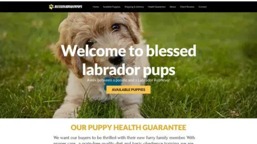 Screenshot of