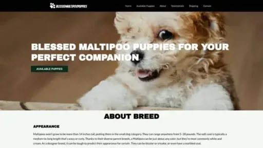 Screenshot of