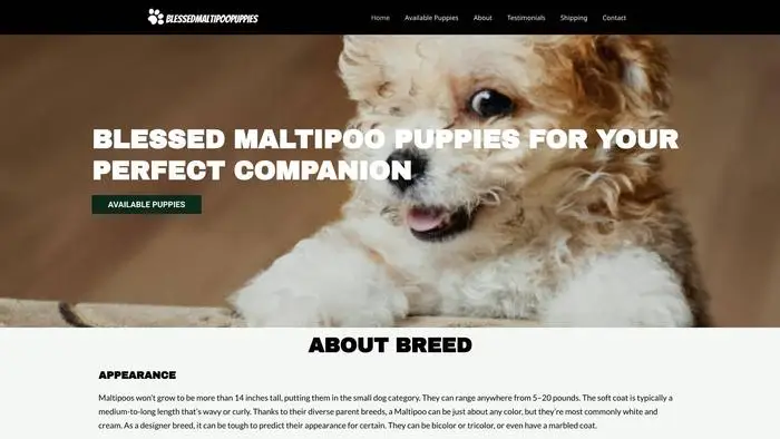 Screenshot of