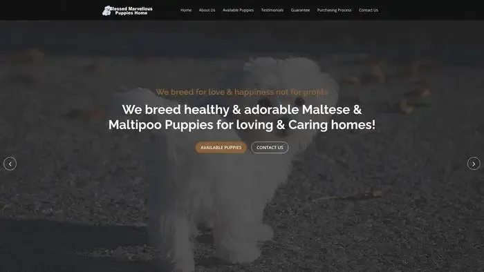 Screenshot of