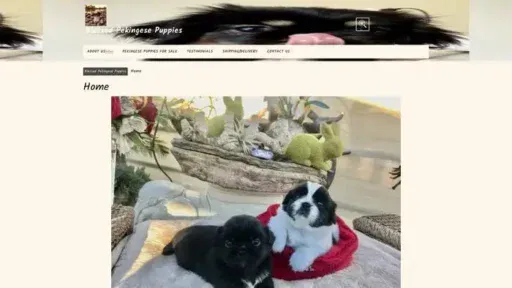 Screenshot of