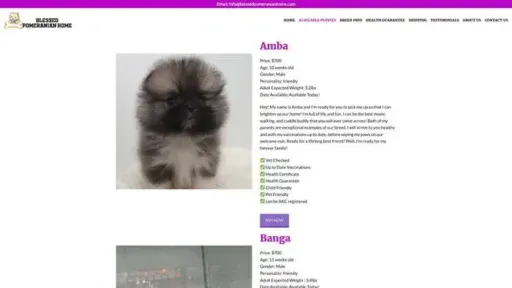 Screenshot of