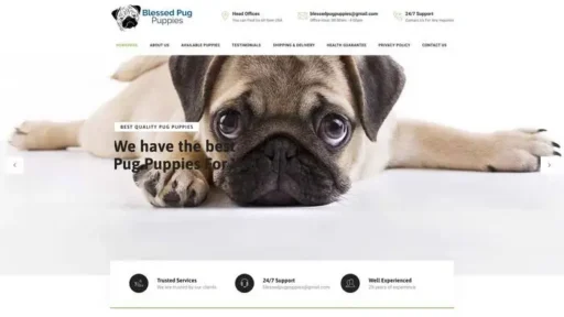 Screenshot of