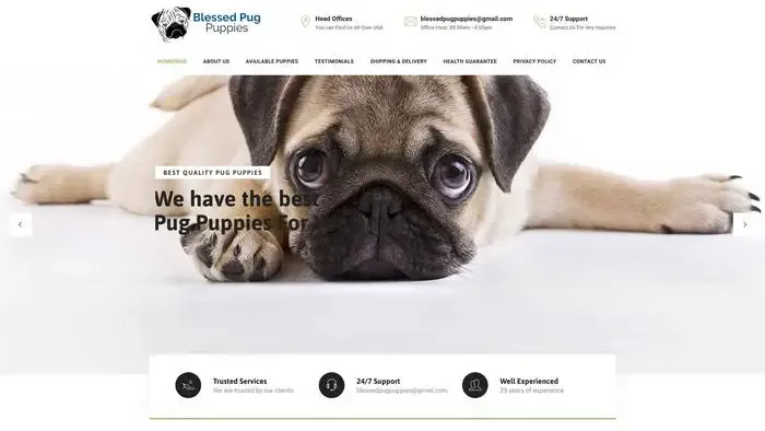Screenshot of
