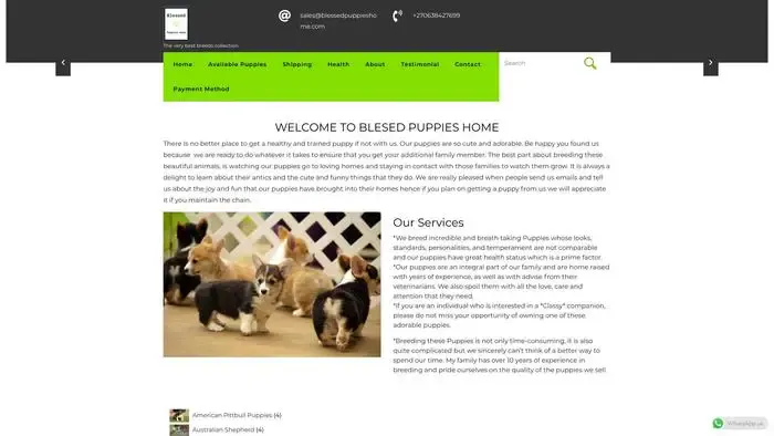 Screenshot of