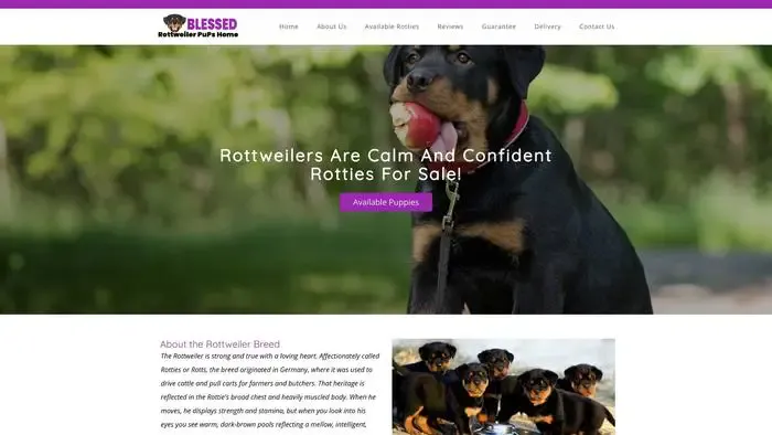 Screenshot of