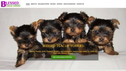 Screenshot of||