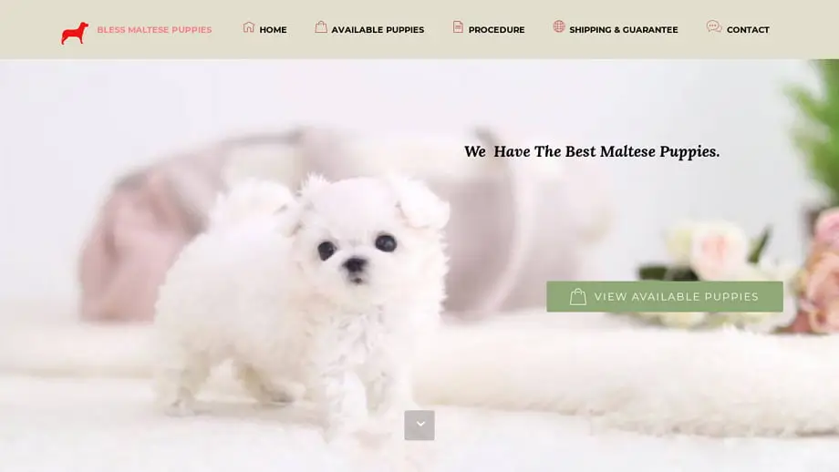 Screenshot of