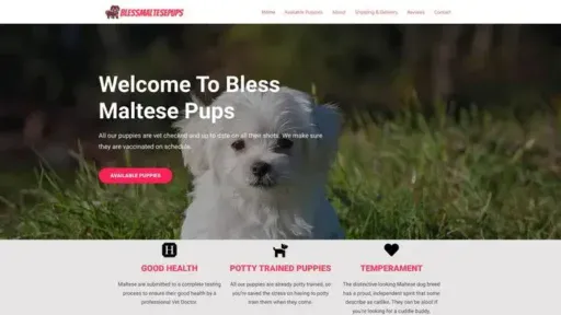 Screenshot of