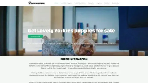 Screenshot of||