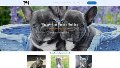 Screenshot of