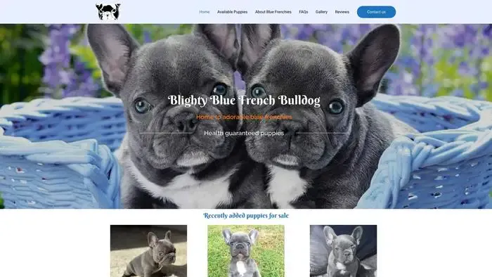 Screenshot of