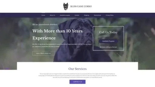 Screenshot of|