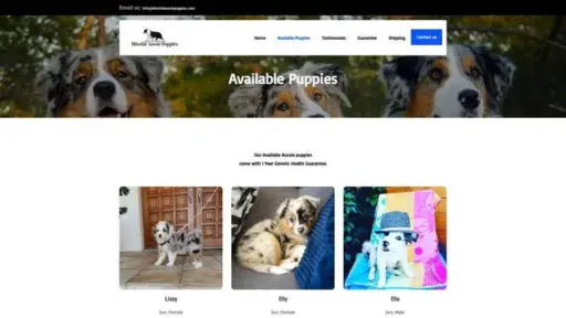 Screenshot of