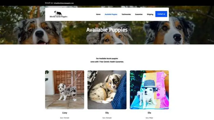 Screenshot of