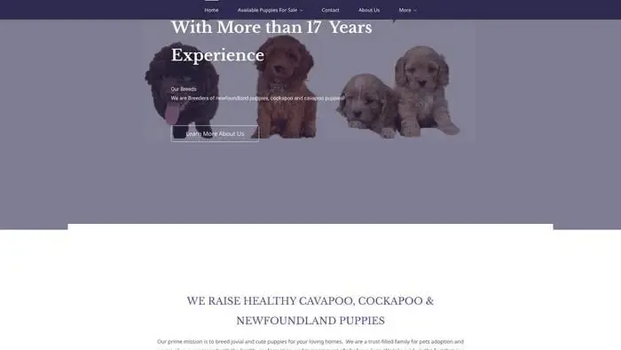 Screenshot of