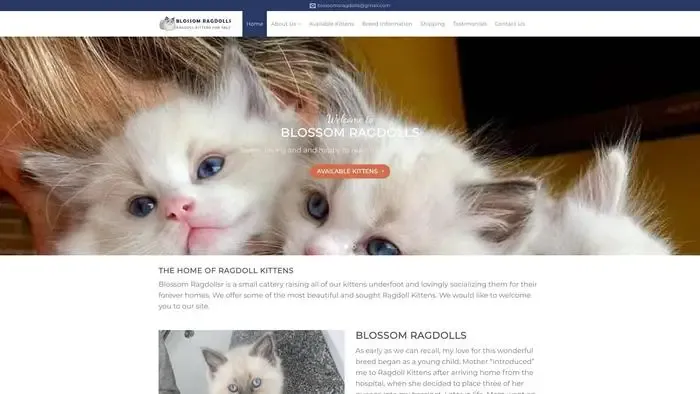 Screenshot of