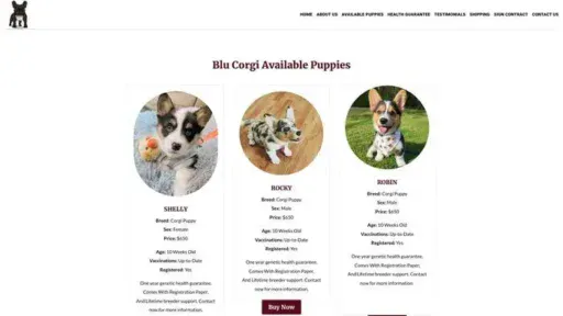 Screenshot of|