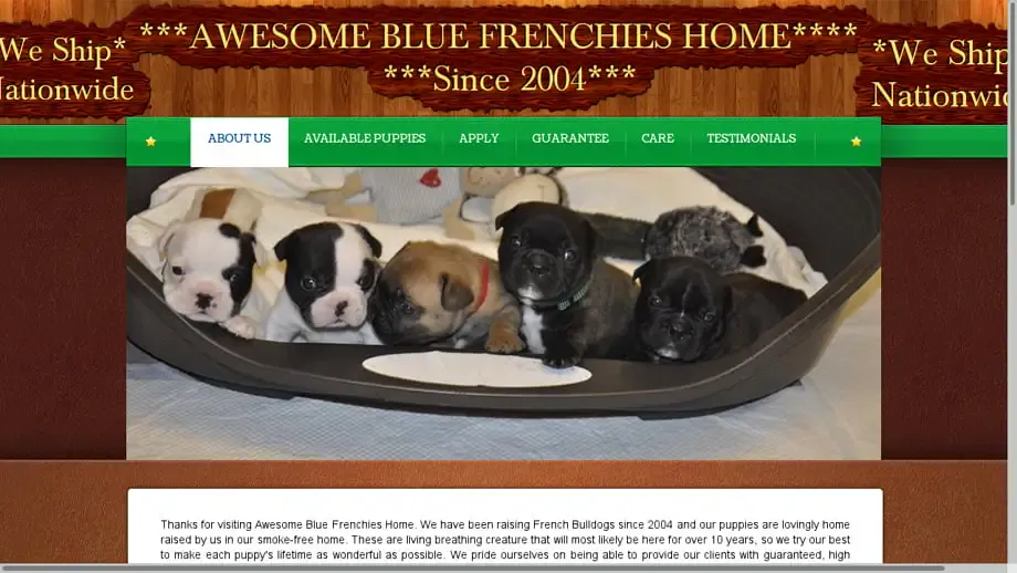 Screenshot of