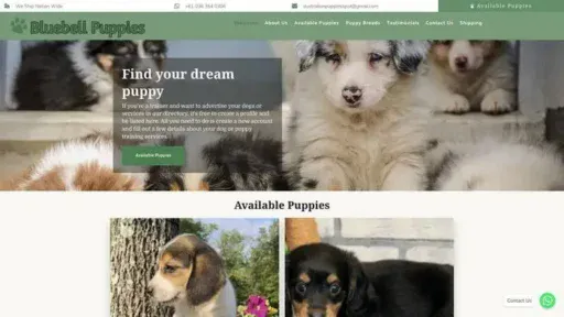 Screenshot of