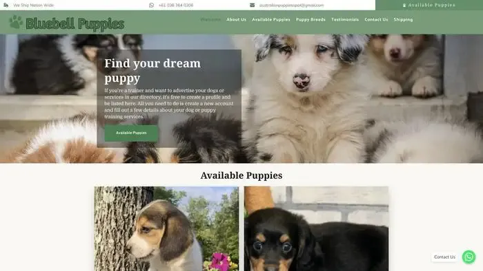 Screenshot of