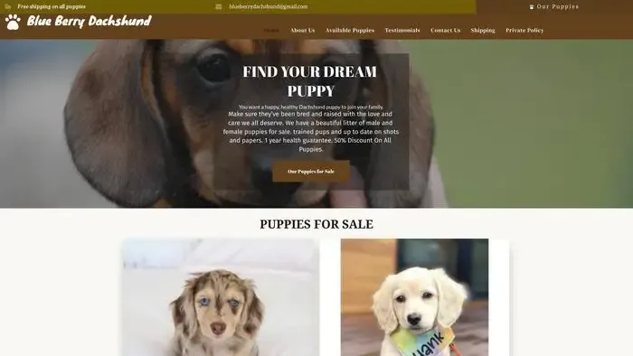 Screenshot of