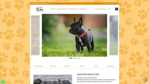 Screenshot of