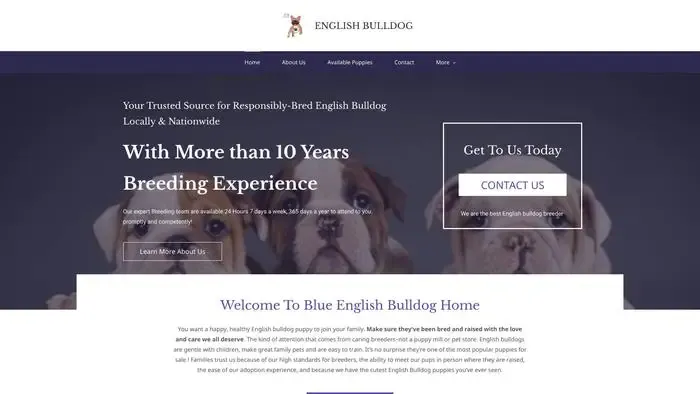 Screenshot of