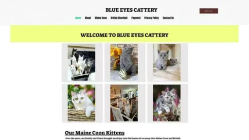 Screenshot of||