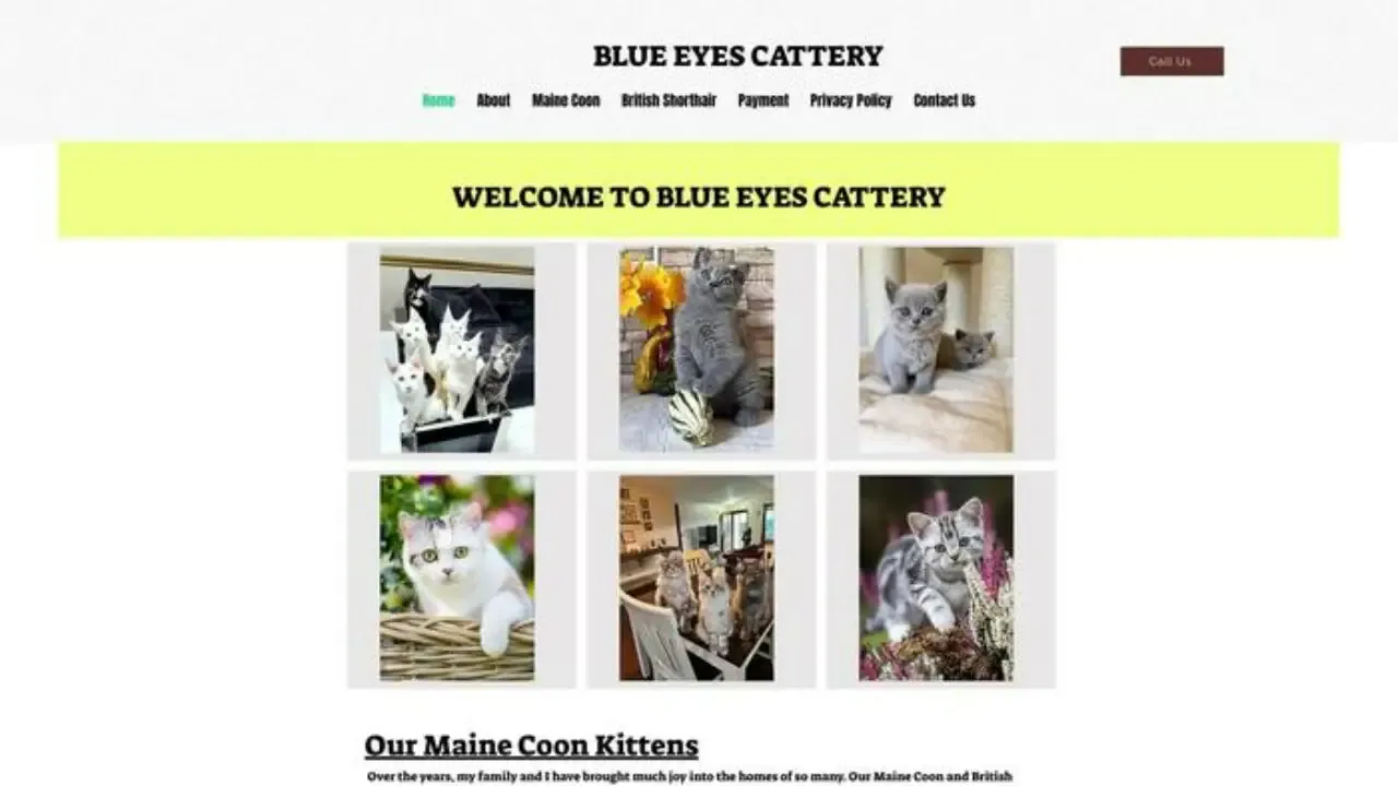 Screenshot of||
